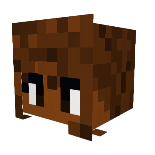 Sparkles17 Minecraft avatar head, 3D render