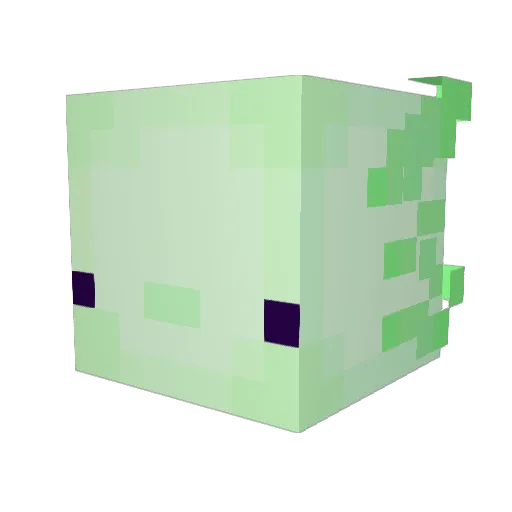 Sparkles6656 Minecraft avatar head, 3D render