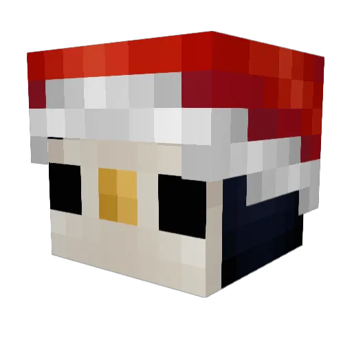 Sparklesister11 Minecraft avatar head, 3D render