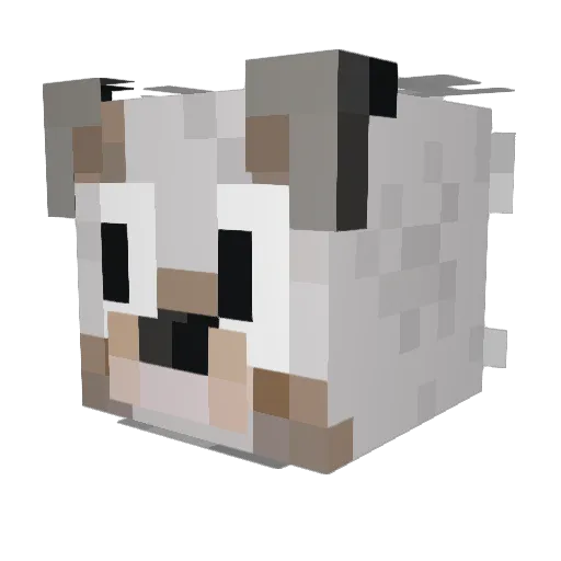 SparkleyThong23 Minecraft avatar head, 3D render
