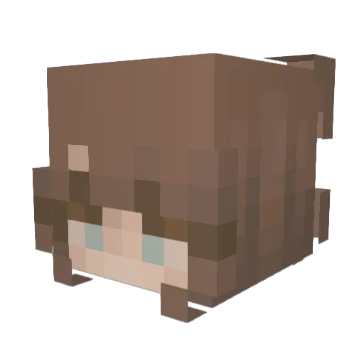 SparklingGazer Minecraft avatar head, 3D render