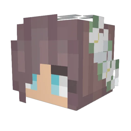SparklingMonkey Minecraft avatar head, 3D render