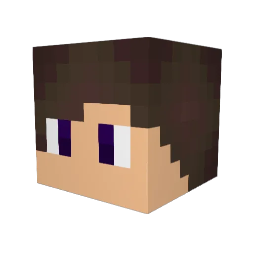 SparklingNinja98 Minecraft avatar head, 3D render