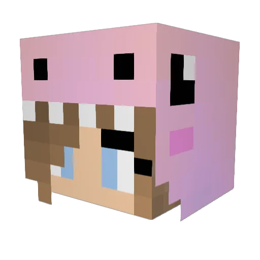 SparklingPiggy Minecraft avatar head, 3D render