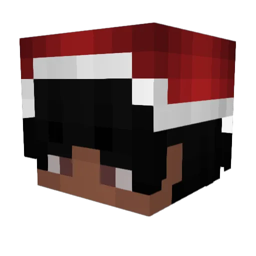Sparklyfly Minecraft avatar head, 3D render
