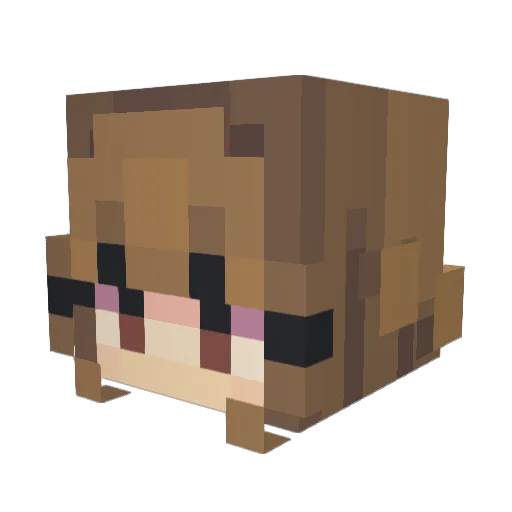 Sparklyone23 Minecraft avatar head, 3D render