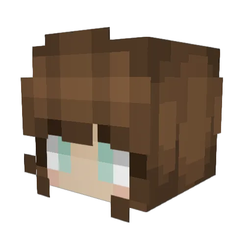 Sparknight235 Minecraft avatar head, 3D render