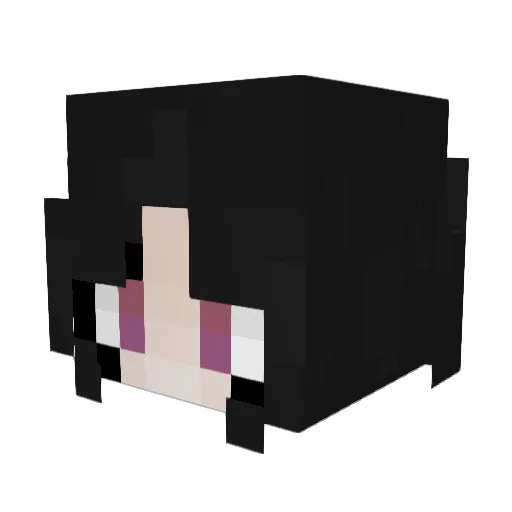 Sparks8422 Minecraft avatar head, 3D render