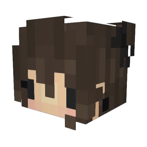 Sparkweee Minecraft avatar head, 3D render