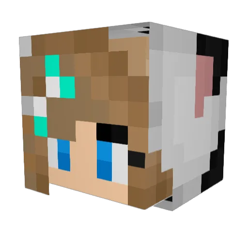Sparky093 Minecraft avatar head, 3D render