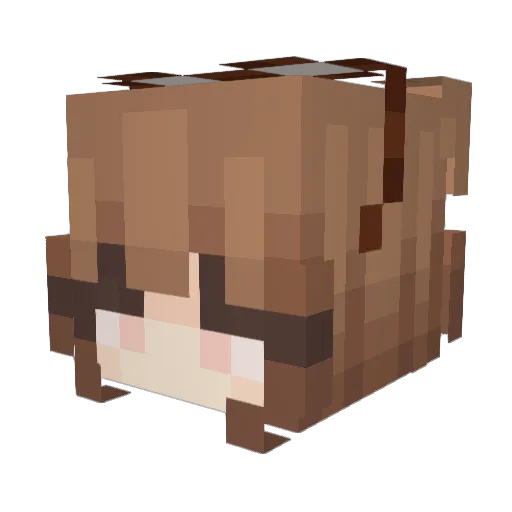 Sparky1788 Minecraft avatar head, 3D render