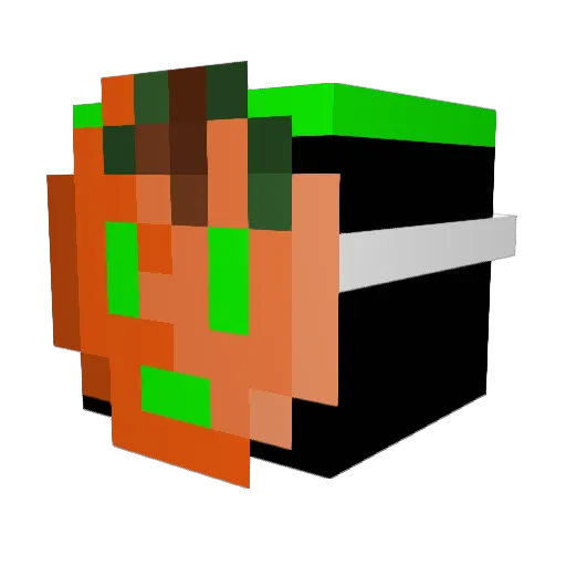 Sparky18 Minecraft avatar head, 3D render