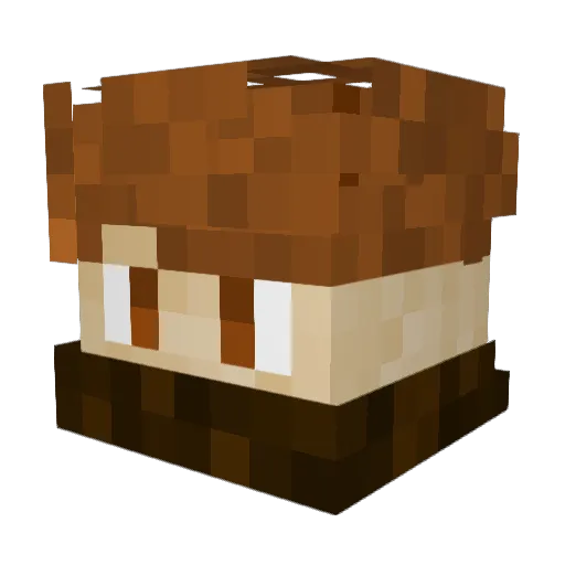 Sparky2014 Minecraft avatar head, 3D render