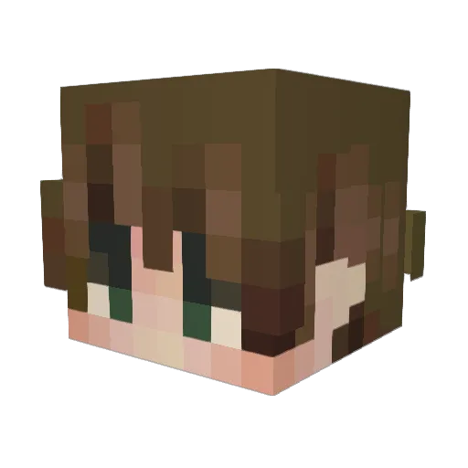 Sparky8834 Minecraft avatar head, 3D render