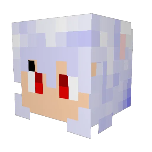 Sparky9017 Minecraft avatar head, 3D render