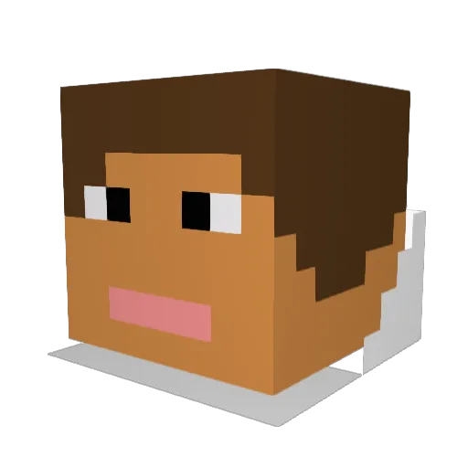 SparkyJones Minecraft avatar head, 3D render