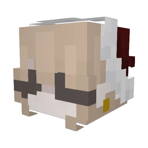 Sparr20 Minecraft avatar head, 3D render