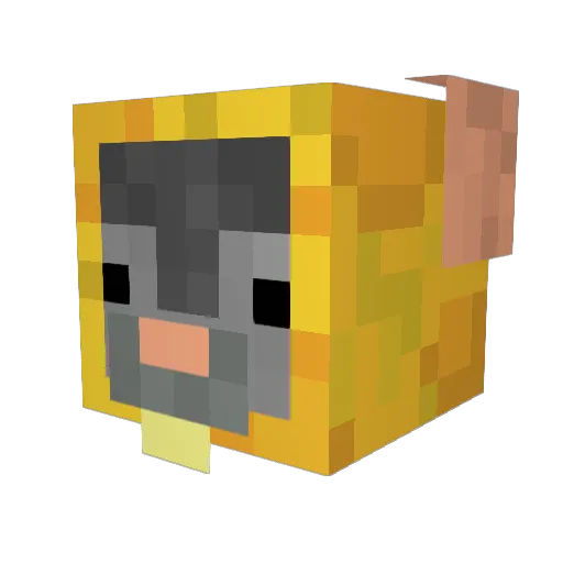 Sparrat Minecraft avatar head, 3D render