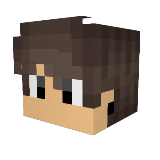 Sparrow11100 Minecraft avatar head, 3D render