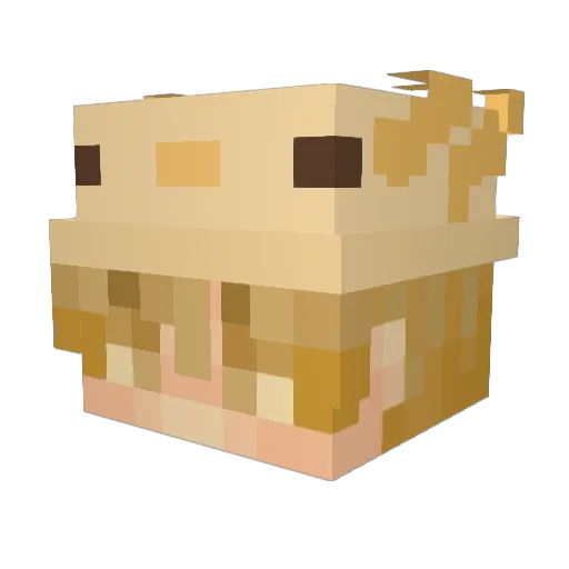 Sparrow1416 Minecraft avatar head, 3D render