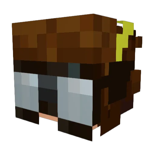 SparrowAarow476 Minecraft avatar head, 3D render