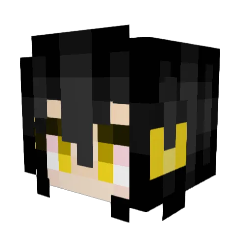SparrowFleet00 Minecraft avatar head, 3D render