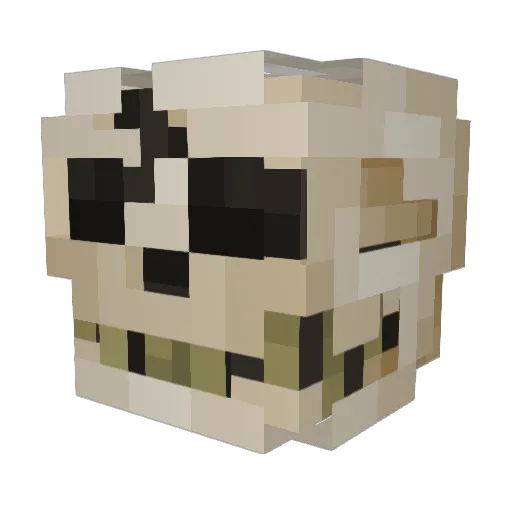 Sparrowish Minecraft avatar head, 3D render