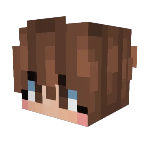 Sparrowsverse Minecraft avatar head, 3D render