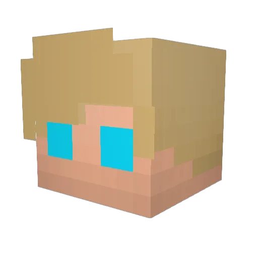 Sparruu Minecraft avatar head, 3D render