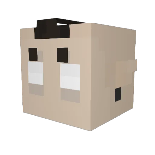 Sparrw0 Minecraft avatar head, 3D render
