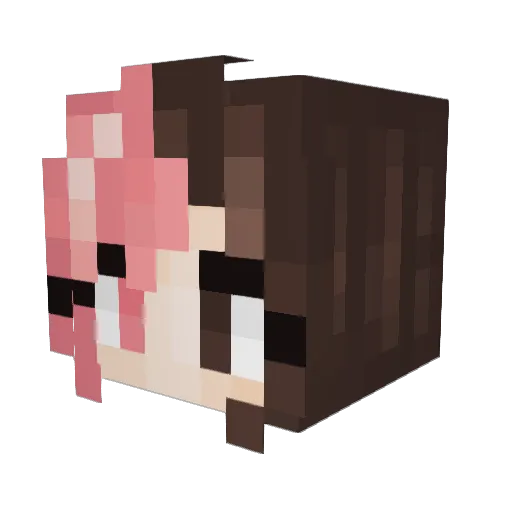Sparsse Minecraft avatar head, 3D render