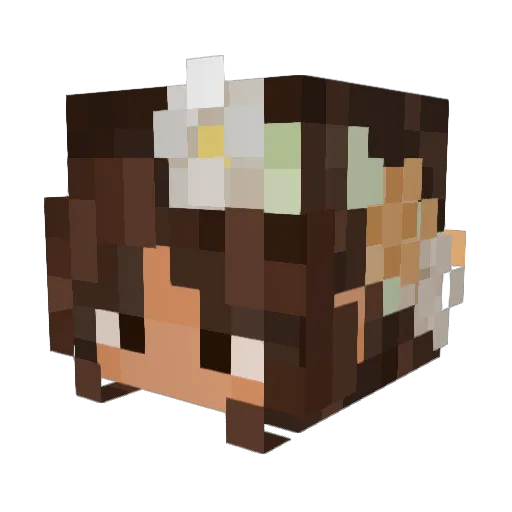 Sparta10876 Minecraft avatar head, 3D render