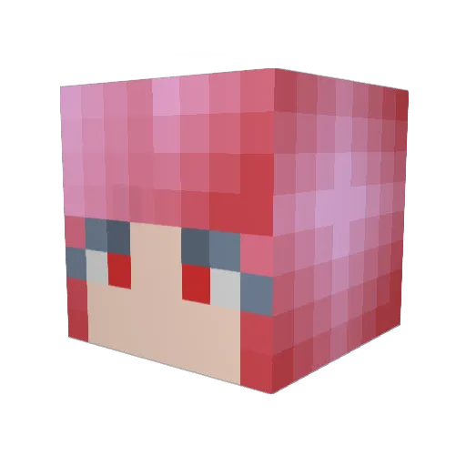 Spartakus55 Minecraft avatar head, 3D render