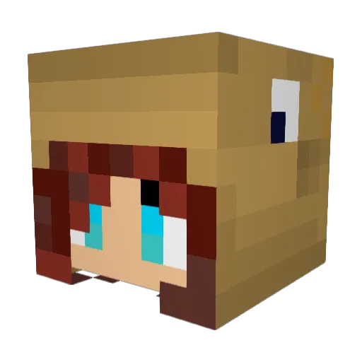 Spartan0781 Minecraft avatar head, 3D render
