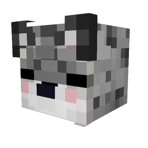 Spartan522 Minecraft avatar head, 3D render