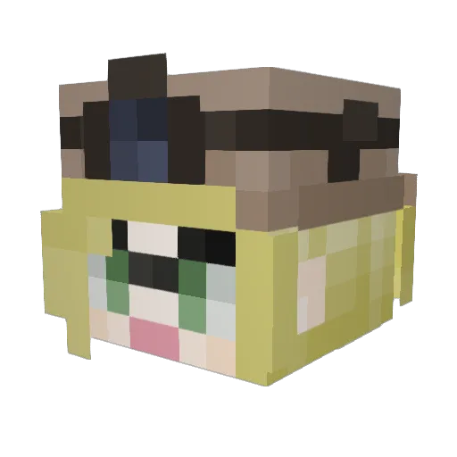 Spartan8917 Minecraft avatar head, 3D render