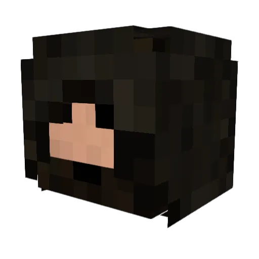 Spartan979 Minecraft avatar head, 3D render