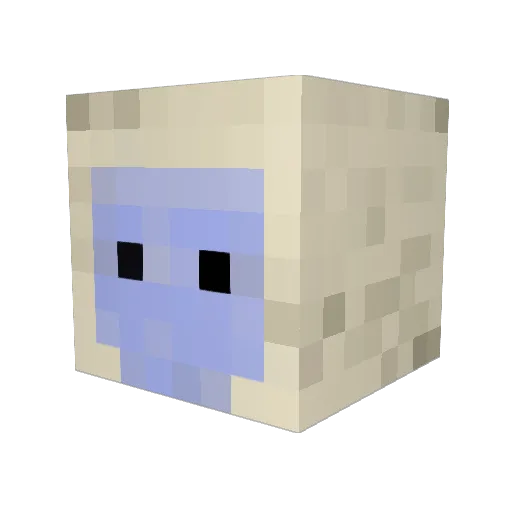 Spartan9922 Minecraft avatar head, 3D render
