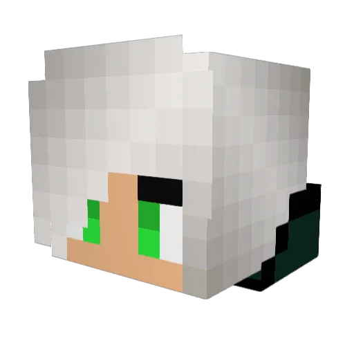 SpartanGaming200 Minecraft avatar head, 3D render