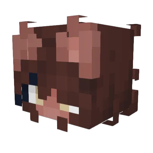 SpartanHarv Minecraft avatar head, 3D render