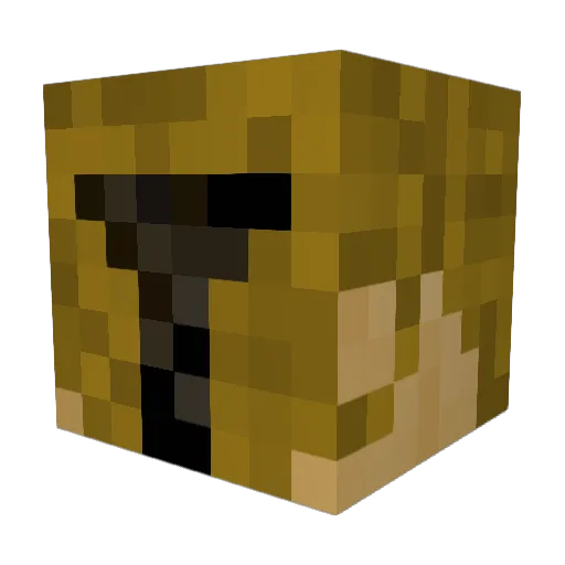 Spartanb19 Minecraft avatar head, 3D render