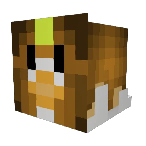 Spartanduck2755 Minecraft avatar head, 3D render