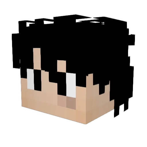 Spartanninja136 Minecraft avatar head, 3D render