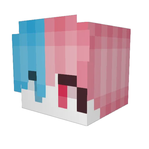 Spartans906 Minecraft avatar head, 3D render