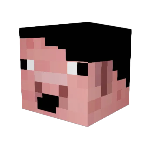 SpartenOnXbox Minecraft avatar head, 3D render