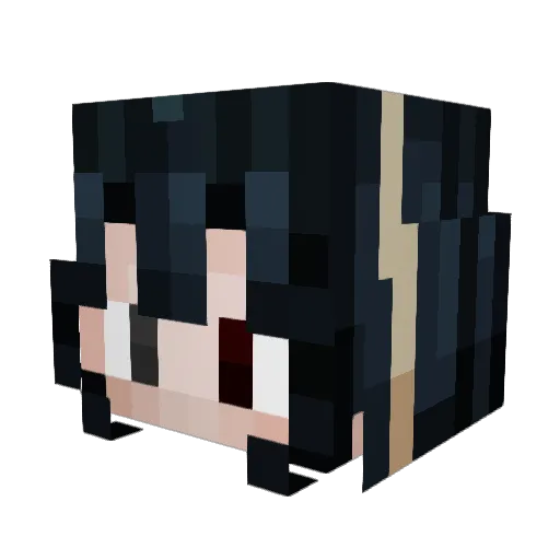 SpartyX99 Minecraft avatar head, 3D render