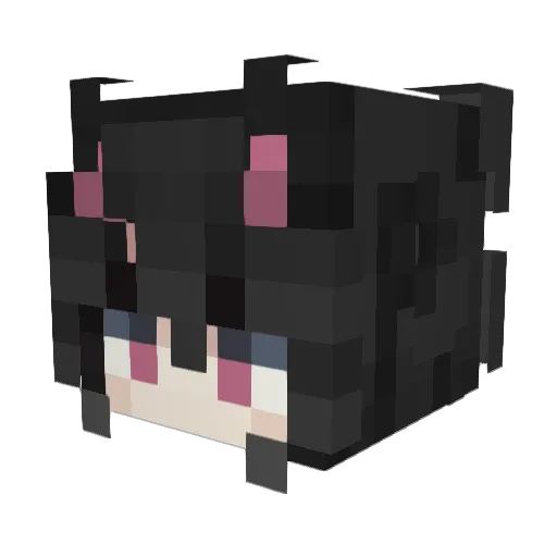Spartyx3 Minecraft avatar head, 3D render