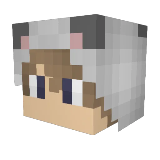 Spastiq Minecraft avatar head, 3D render