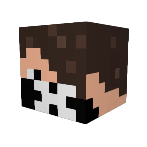 Spaulgo Minecraft avatar head, 3D render