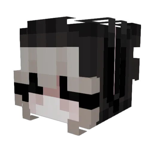 Spawnlocked12 Minecraft avatar head, 3D render